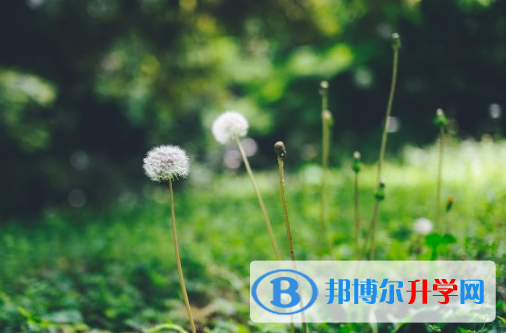 四川2021年中考没考上可以复读吗