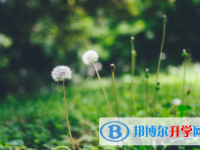 四川2021年中考没考上可以复读吗