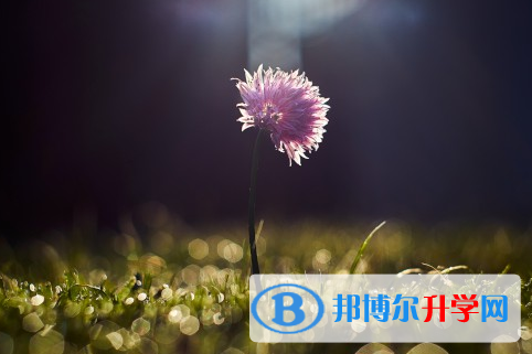 四川2021年中考民办学校
