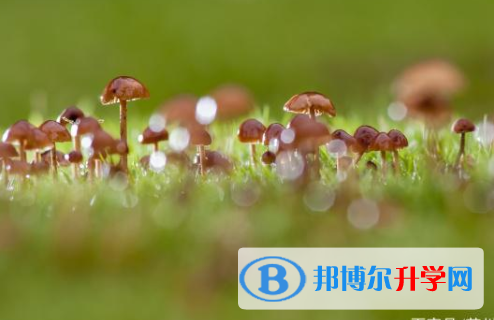 四川2021年中考难还是不难