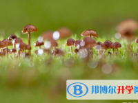 四川2021年中考难还是不难