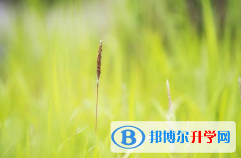 四川2021年中考人数