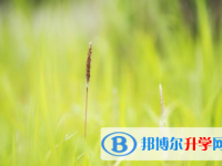 四川2021年中考人数