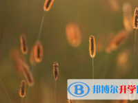 四川2021年中考升学录取比例