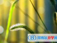 四川2021年中考生落榜后可不可以选择复读