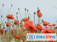 四川2021年中考试题