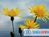 四川2021年中考是不是录取线最高的