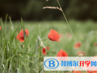四川2021年中考收生线