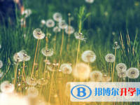 四川2021年中考特长生招生简章