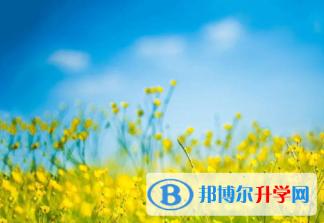 四川2021年中考外地考生政策