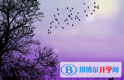 四川2021年中考网络登录