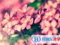四川2021年中考线是好多