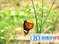 四川2021年中考预估重点线