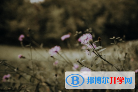 四川2021年中考招生办电话