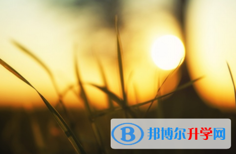 四川2021年中考招生计划查询
