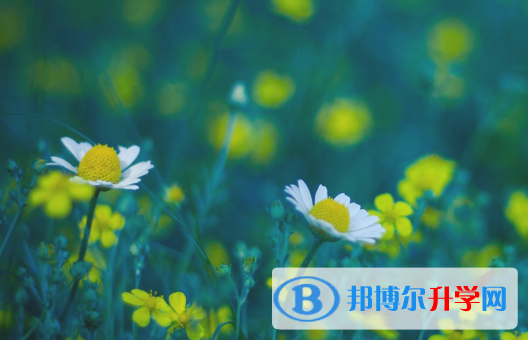 四川2021年中考指南