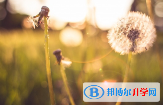 四川2021年中考重点复习资料