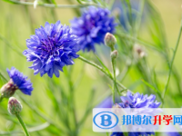 四川2021年中考重点线