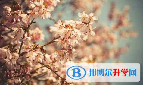 四川2021年中考各科高频考点