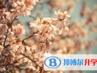 四川2021年中考各科高频考点