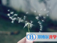 四川2021年中考孩子的营养餐