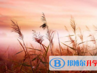 四川2021年中考后计划