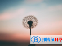 四川2021年中考技巧和注意事项