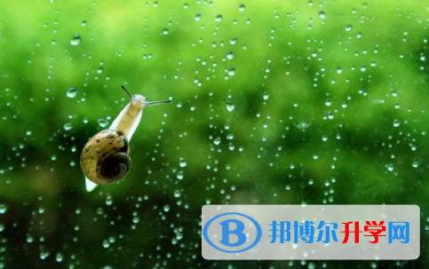 四川2021年中考考试说明