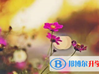 四川2021年中考录取通知书