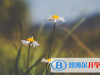 四川2021年中考落榜生