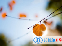 四川2021年中考排名