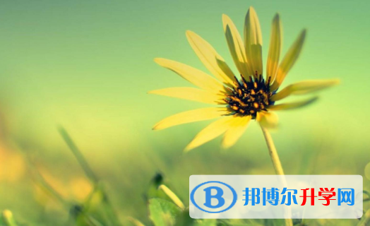 四川2021年中考日期