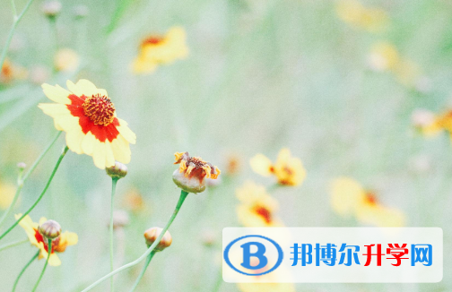 四川2021年中考时间