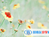 四川2021年中考时间