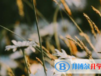 四川2021年中考时间安排