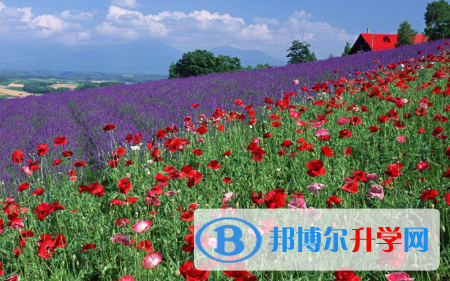 四川2021年中考具体时间