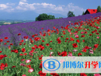 四川2021年中考具体时间