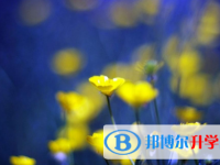 四川2021年中考顺序