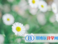 四川2021年中考推荐生自荐信