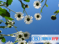 四川2021年中考重点复习