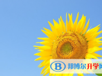 四川2021年中考注意事项和技巧