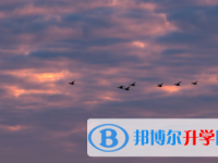 四川2021年中考状元