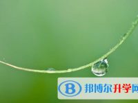 四川2021年中考准考证丢了怎么办