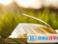 四川2021年中考怎么作弊是最好的