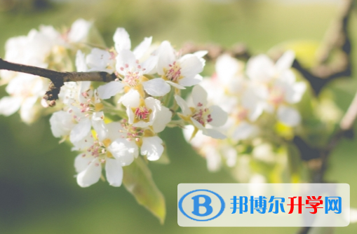 四川2021年中考没考好可以复读吗
