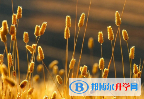 四川2021年中考没考好怎么办