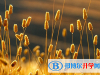 四川2021年中考没考好怎么办