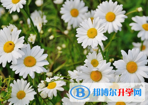 四川2021年中考没有被学校录取咋办