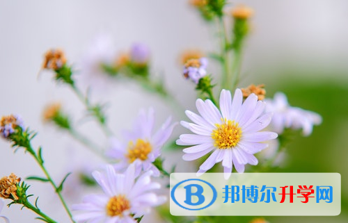 四川2021年中考没有考上怎么办