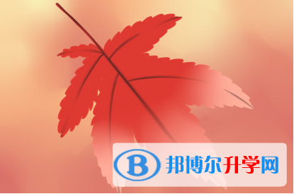 四川2021年中考落榜了怎么办